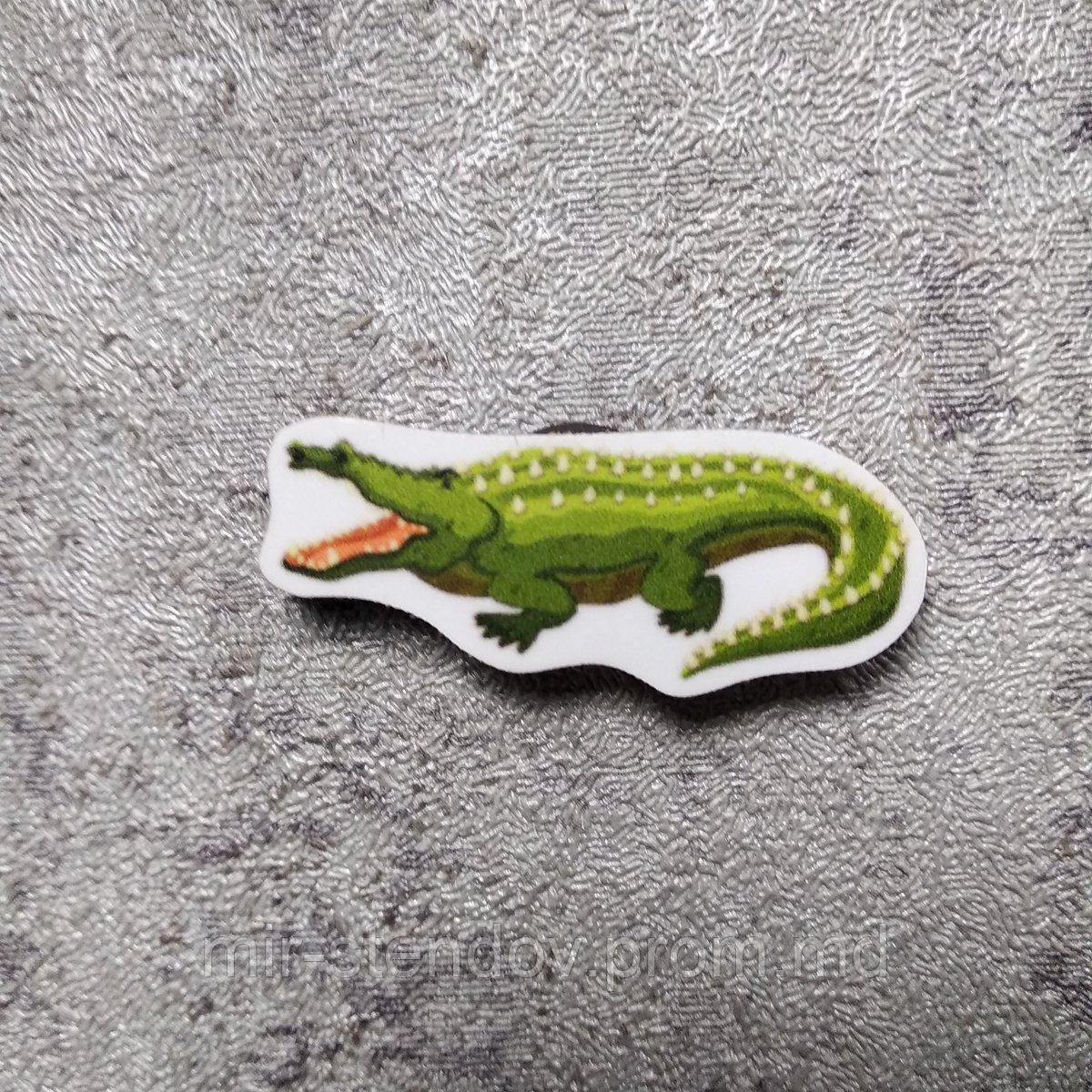 Крокодил. Магнит обучающий, фото 1