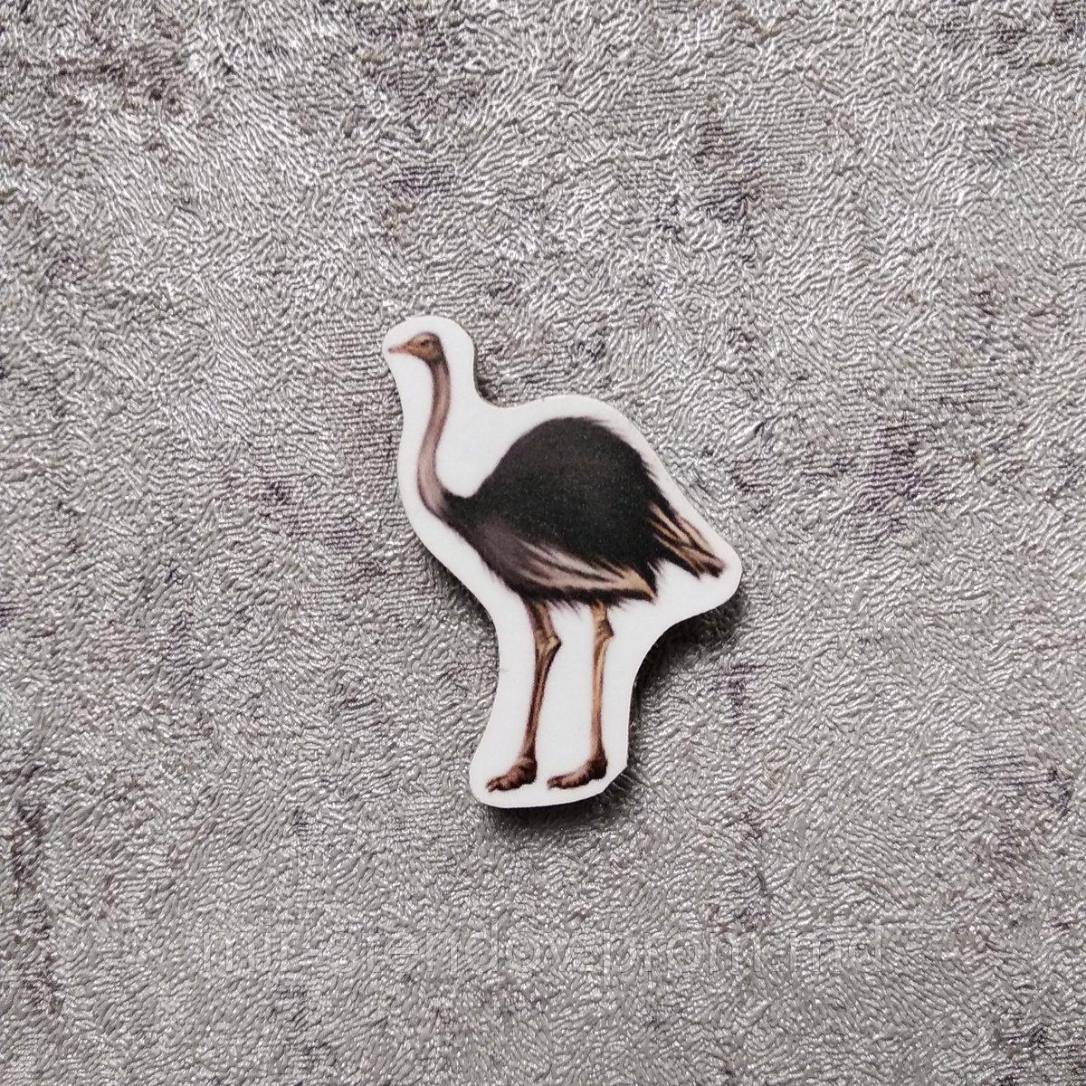 Страус. Магнит обучающий, фото 1