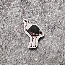 Страус. Магнит обучающий