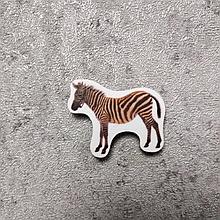 Зебра. Магнит обучающий