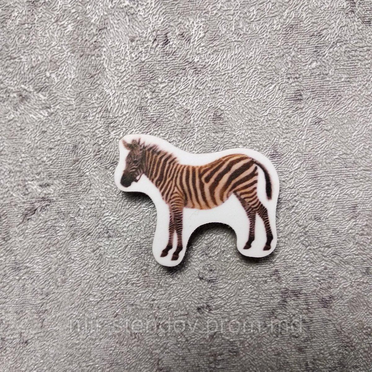Зебра. Магнит обучающий, фото 1