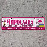 Розовый Номер на коляску с именем  "Любимая доченька..." (Мини Маус принцесса), фото 6