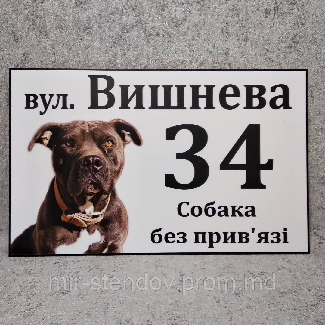 Адресная и предупреждающая табличка "Собака без привязи" (2 в 1) Амстафф - фото 1 - id-p10426511