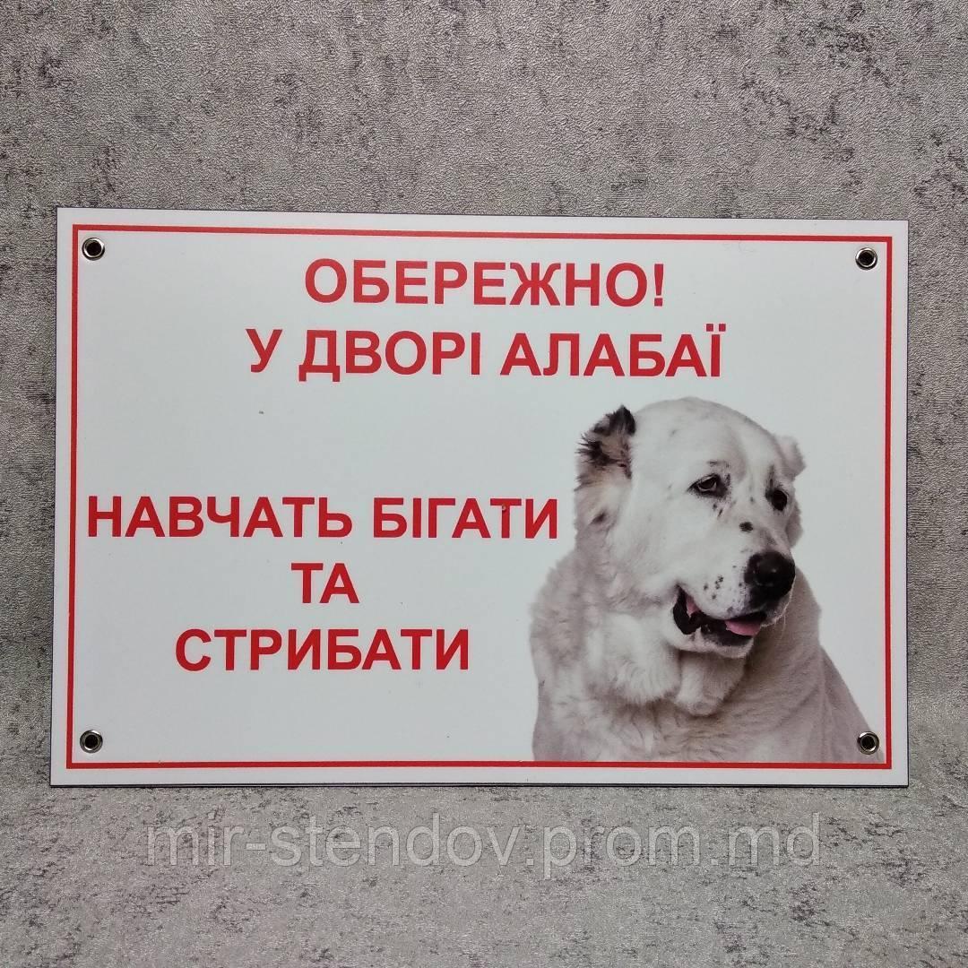 Табличка Осторожно, во дворе Алабаи. Научат бегать и прыгать., фото 1