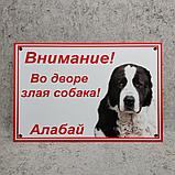 Табличка Осторожно, злая собака. Алабай, фото 3