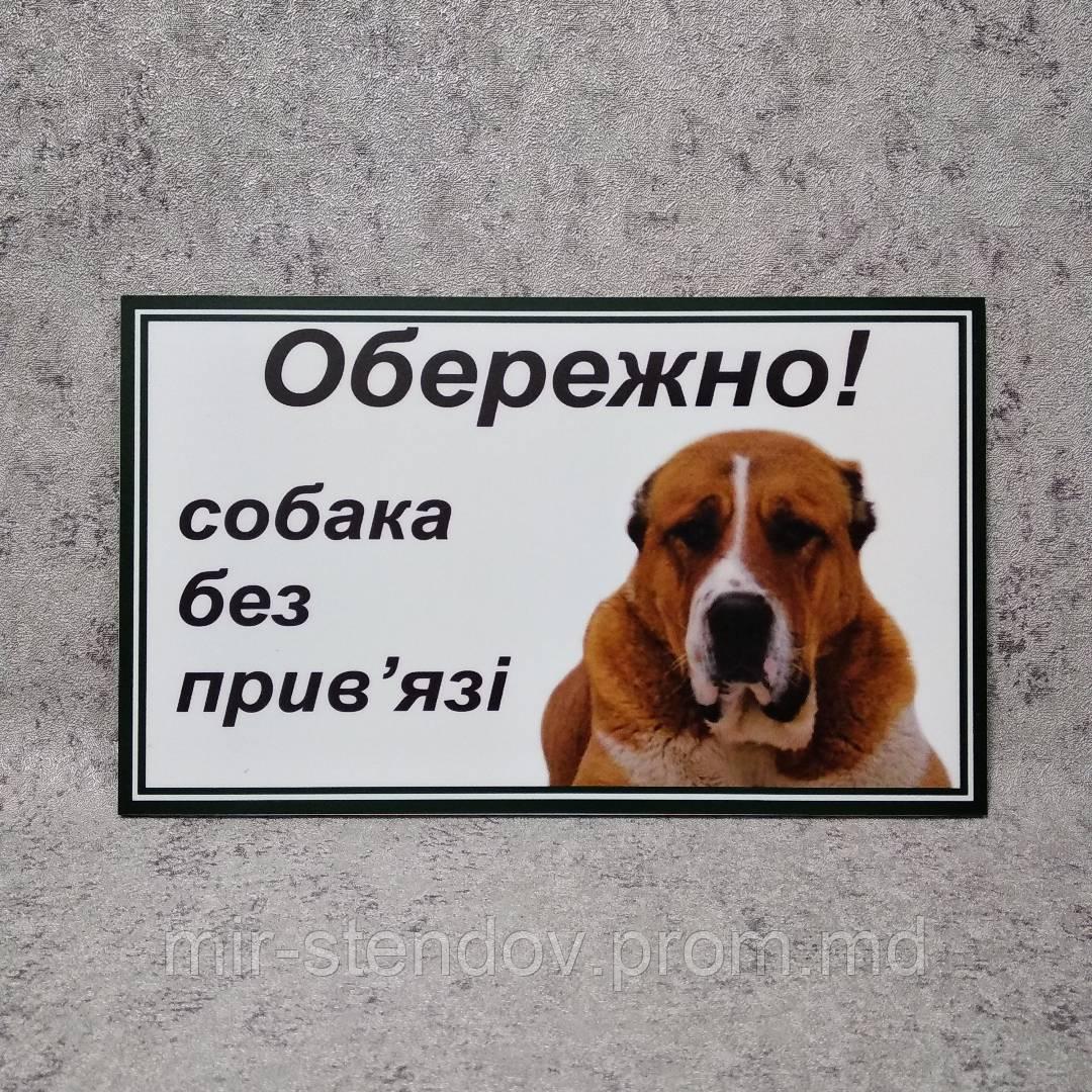 Табличка Осторожно, собака без привязи - фото 1 - id-p10414029