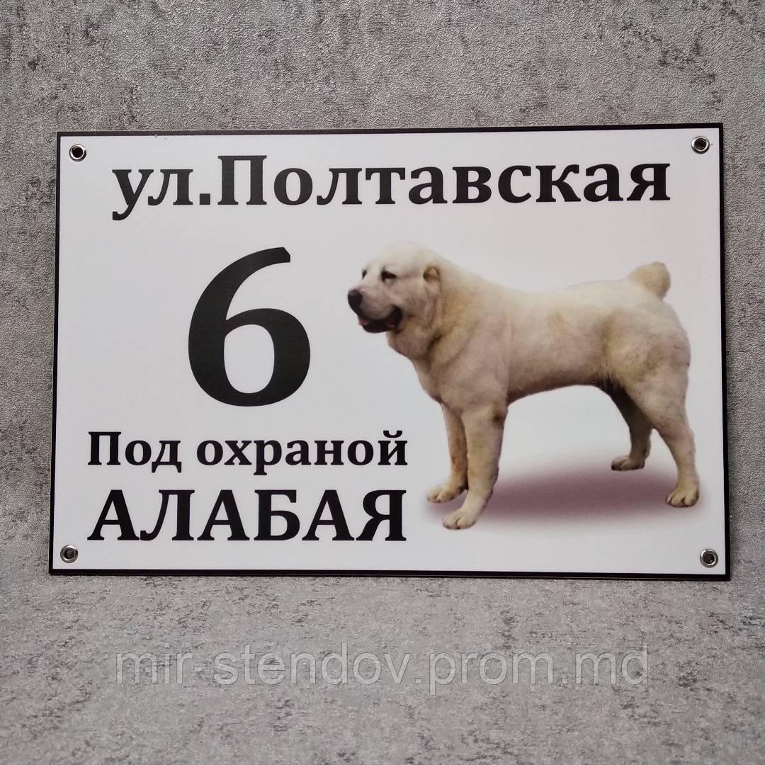 Адресная и предупреждающая табличка "Под охраной Алабая"  Белая масть  (2 в 1)., фото 1