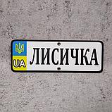 Номер на коляску с именем ребёнка (UA-Герб). 20х8 см, фото 2