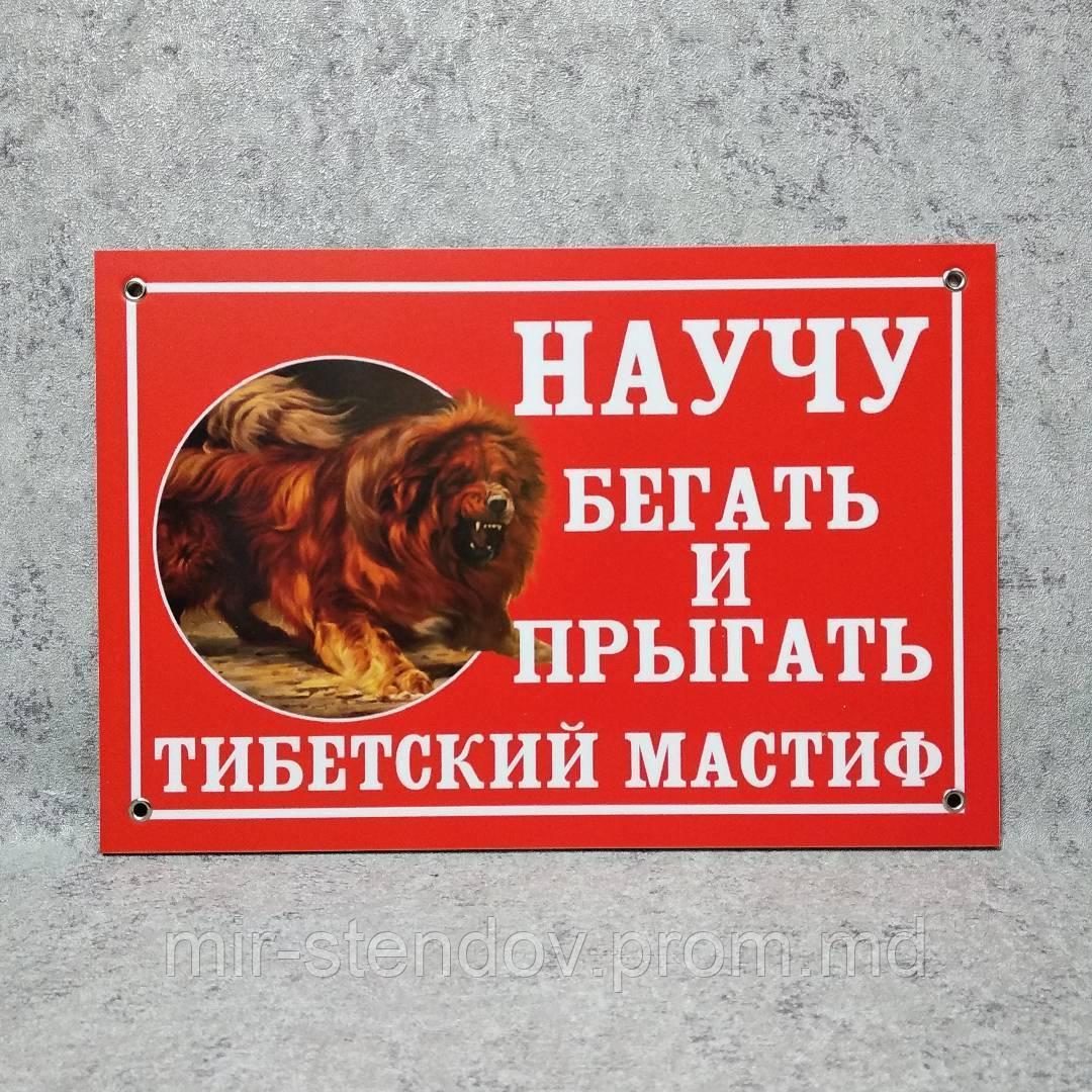 Табличка "Научу бегать и прыгать тибетский мастиф", фото 1