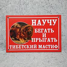 Табличка "Научу бегать и прыгать тибетский мастиф"