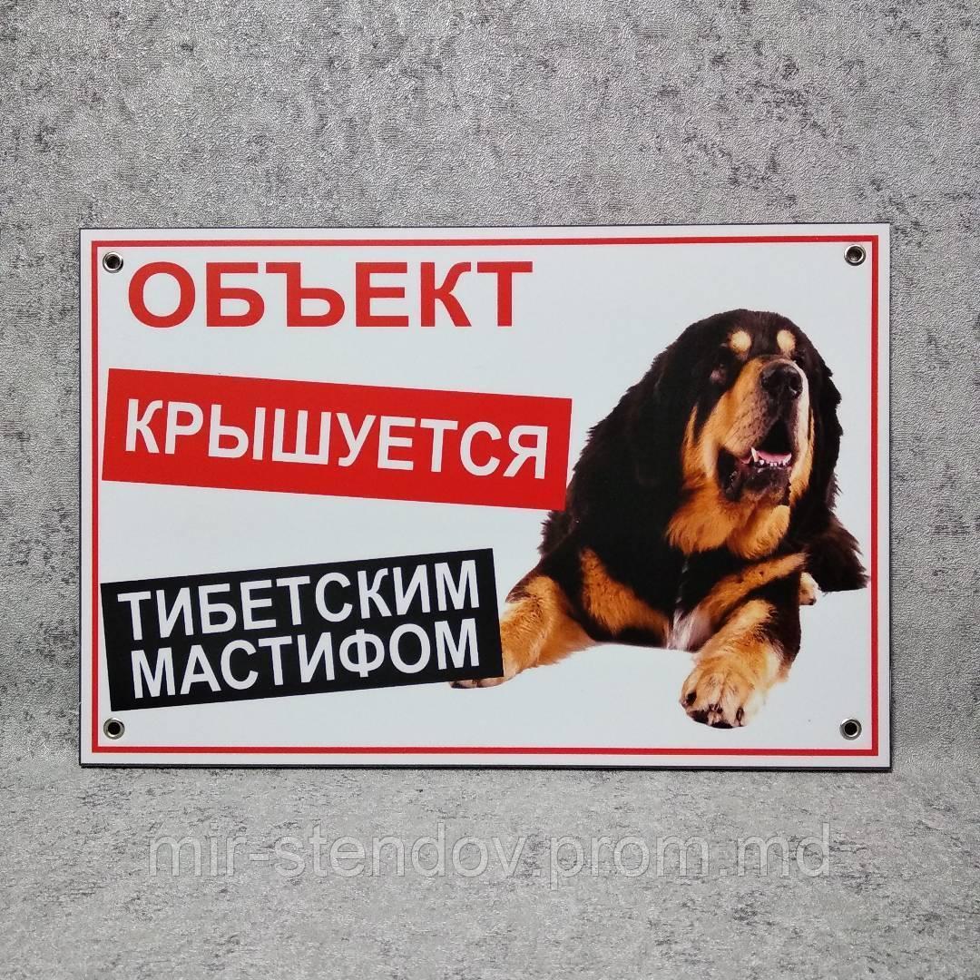 Предупреждающая табличка "Объект крышуется Тибетским мастифом", фото 1