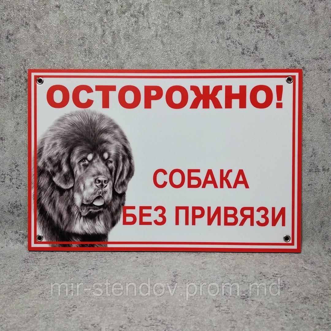 Табличка "Осторожно, собака без привязи" (Тибетский мастиф), фото 1