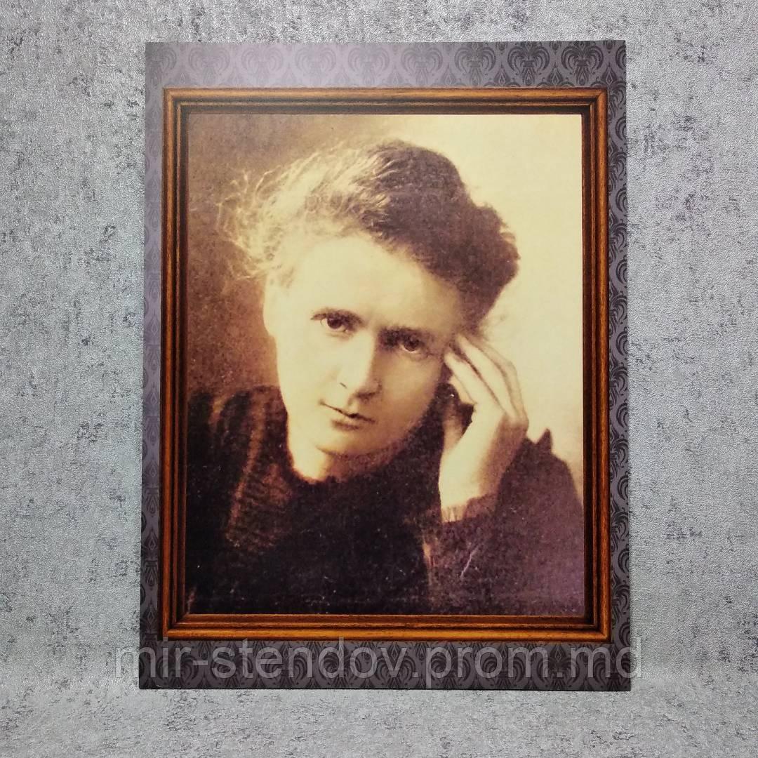 Мария Склодовская-Кюри. Портреты для кабинета химии, фото 1