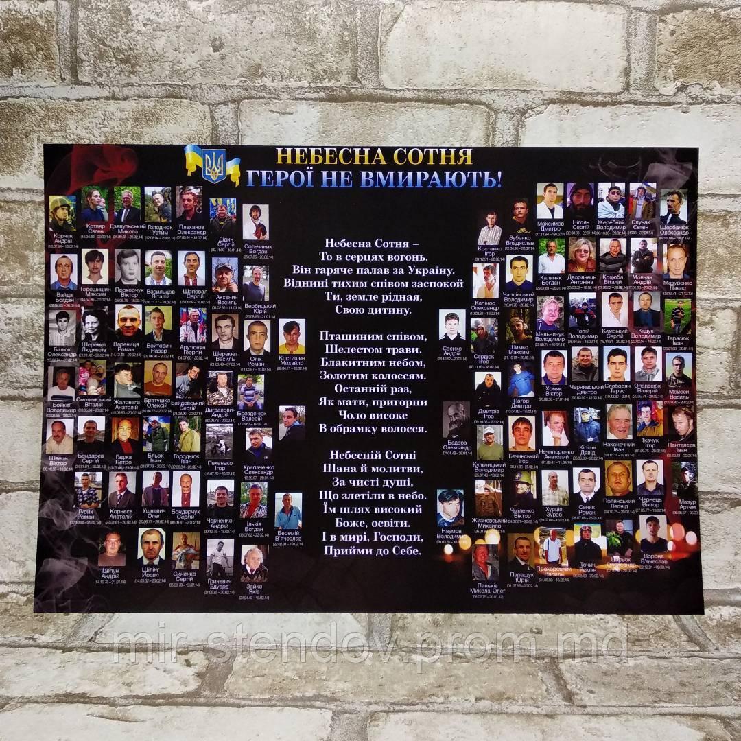 Небесная Сотня. Баннерный плакат, фото 1