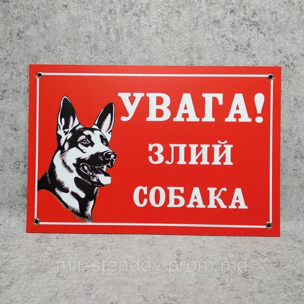 Табличка "Внимание! Злая собака" - фото 1 - id-p10443740