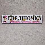 Номер на коляску Эвелиночка (46х10 см), фото 2