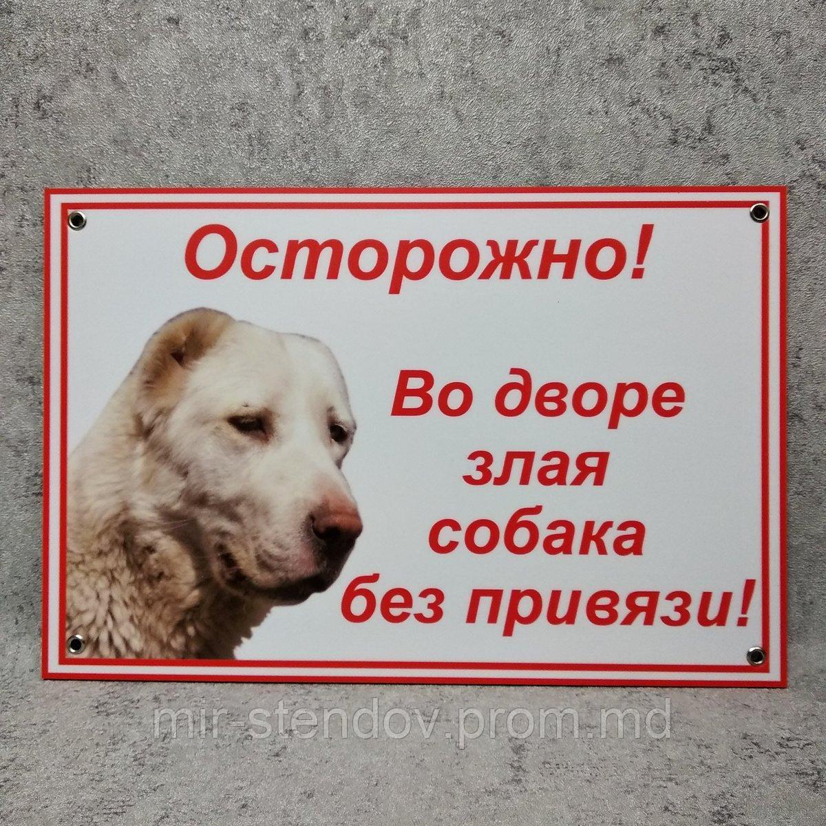 Табличка Осторожно, во дворе злая собака без привязи (Алабай) - фото 1 - id-p10443932