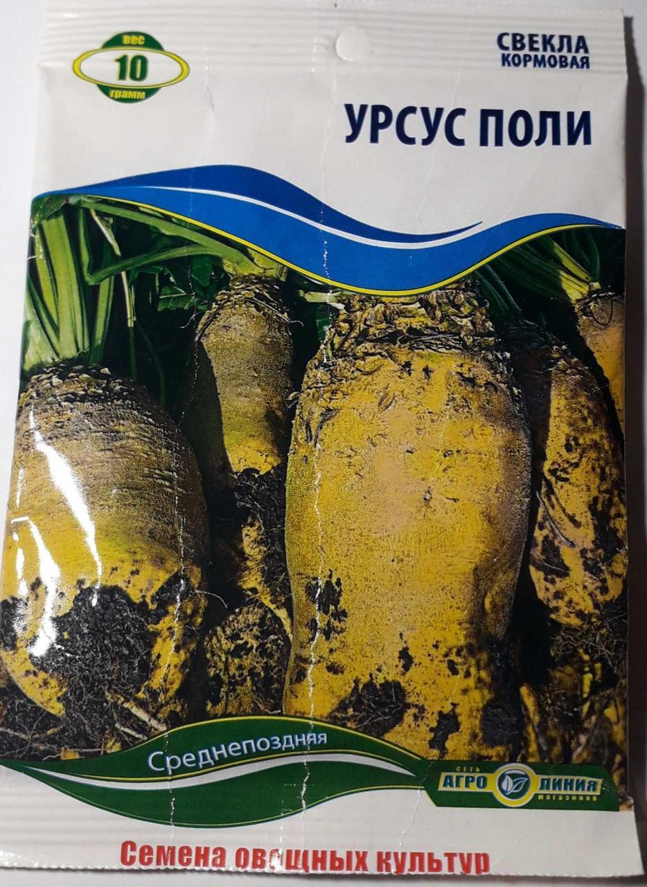 Семена свеклы кормовой Урсус Поли 10 грамм качество - фото 1 - id-p10444200