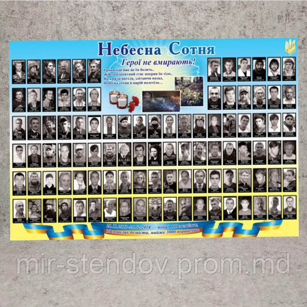 Небесна Сотня. Плакат / Стенд, фото 1