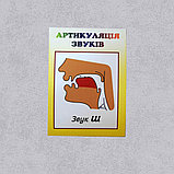 Артикуляция звуков. Набор стендов, фото 3