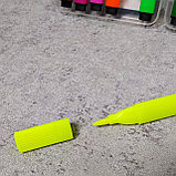 Фломастер - кисточка. Разноцветный набор из 12 штук (Попугай), фото 4