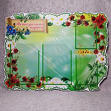 Методический уголок. Пластиковый стенд. (Цветы)