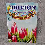 Диплом и значок именной для выпускника д/с "Колокольчик" группа "Тюльпан", фото 2