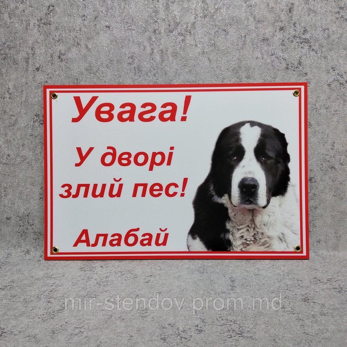 Табличка Осторожно, злая собака. Алабай - фото 1 - id-p10442641