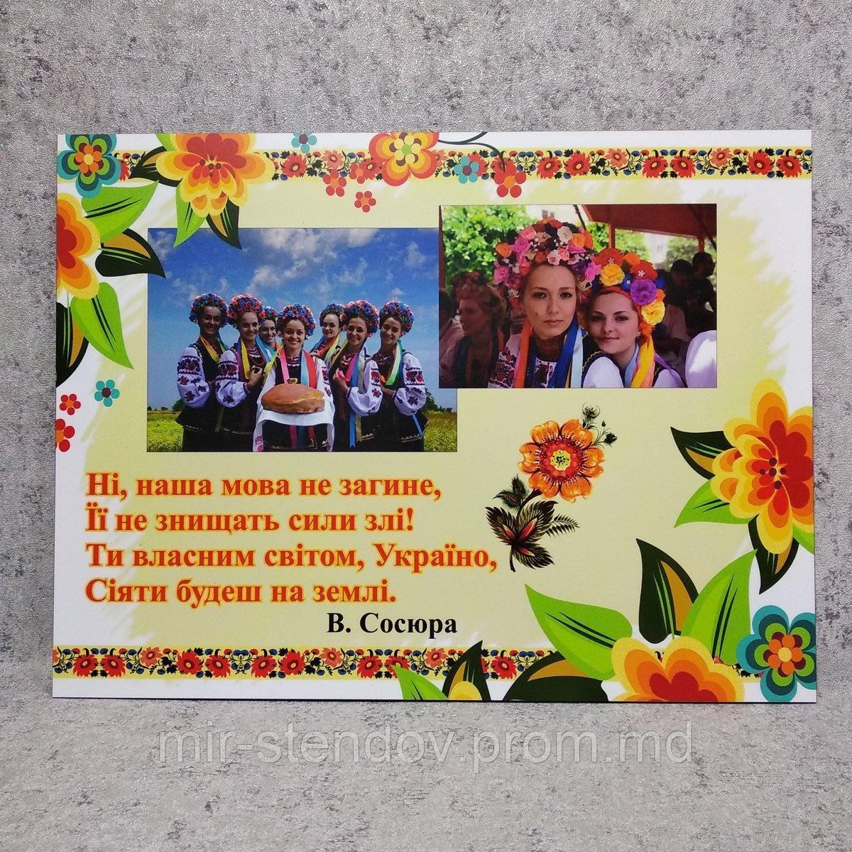 Стенд Наша мова (30х40 см), фото 1