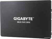 Gigabyte 256GB GP-GSTFS31256GTND