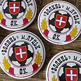 Значок ФК Волынь, фото 2