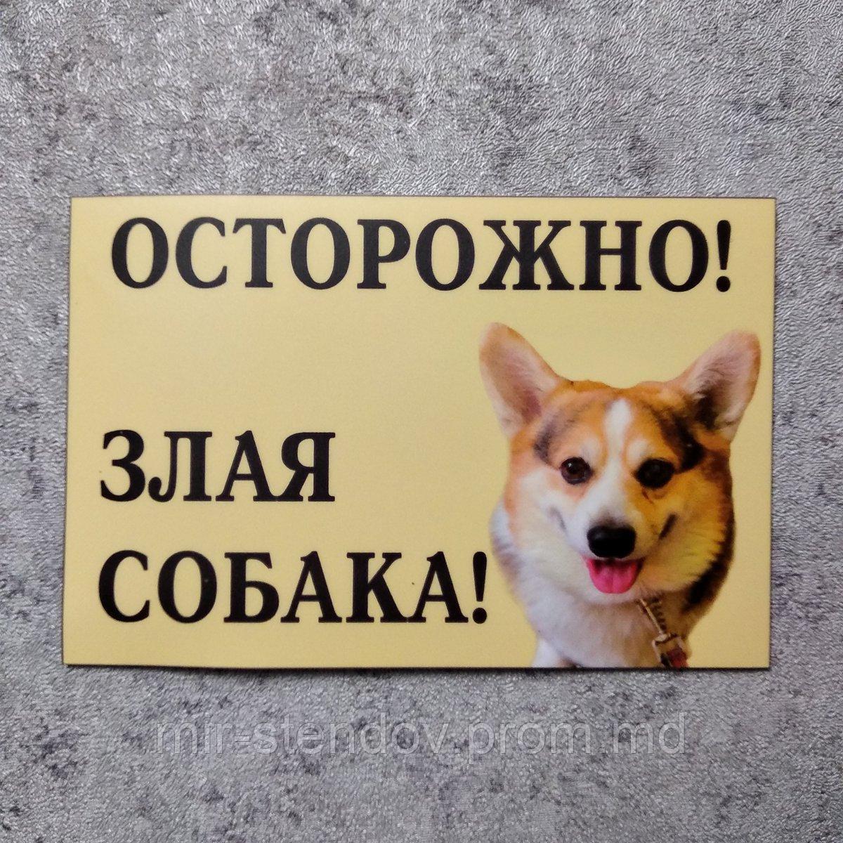 Табличка Осторожно злая собака (Корки) - фото 1 - id-p10450077