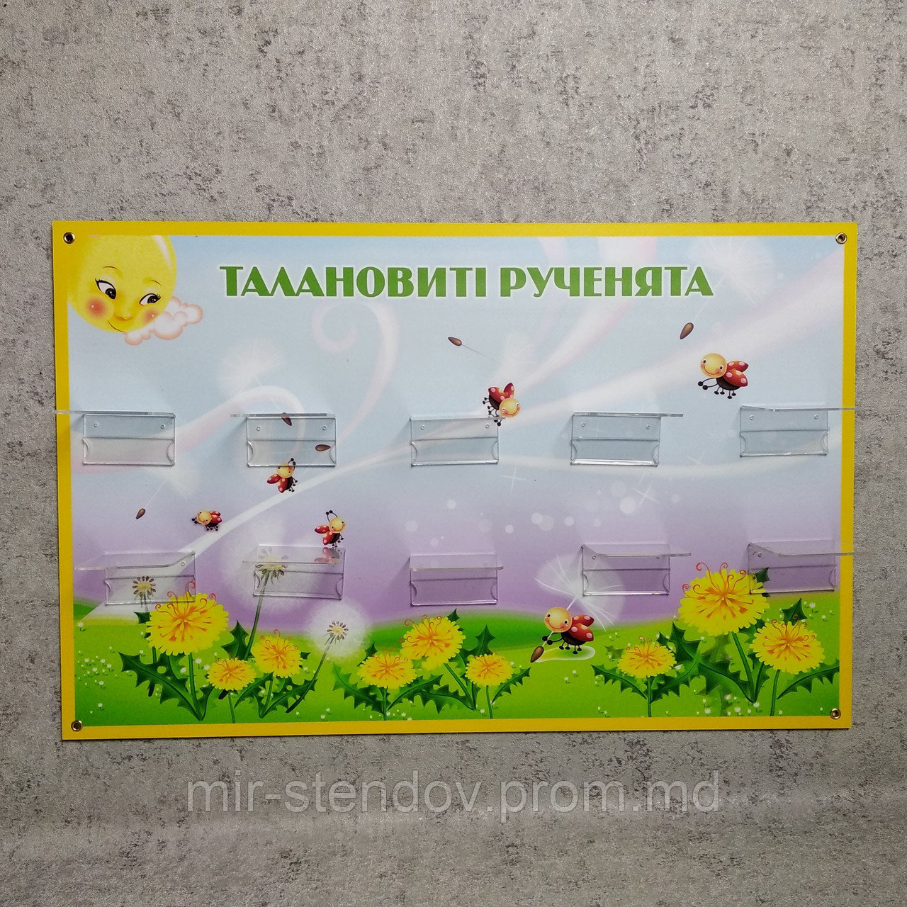 Подставка для поделок настенная Одуванчик, фото 1