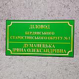 Таблички кабинетные для админ-организаций . Зеленый фон (300х160 мм), фото 2