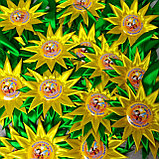 Медаль с розеткой для выпускника детского сада "Полянка", фото 2