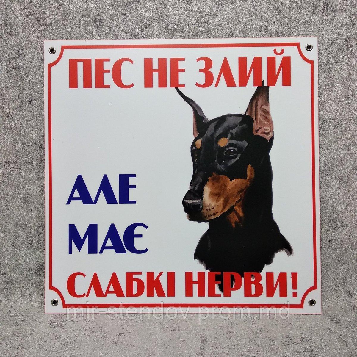 Табличка "Пёс не злой, но нервы слабые" (Доберман) - фото 1 - id-p10107711