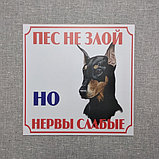 Табличка "Пёс не злой, но нервы слабые" (Доберман), фото 2