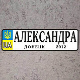 Именной Номер на коляску с датой рождения и городом (Герб UA) 28х8 см, фото 6
