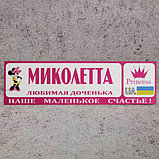Розовый Номер на коляску с именем  "Любимая доченька..." (Мини Маус принцесса), фото 9