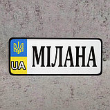 Номер на коляску с именем ребёнка (UA-Герб). 20х8 см, фото 5