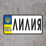 Номер Сувенирный "Герб UA"  (20х10 см), фото 3