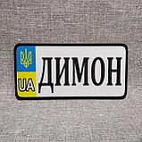 Номер Сувенирный "Герб UA"  (20х10 см), фото 5