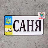 Номер Сувенирный "Герб UA"  (20х10 см), фото 6