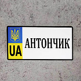 Номер Сувенирный "Герб UA"  (20х10 см), фото 9