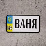 Номер Сувенирный "Герб UA"  (20х10 см), фото 10
