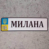 Номер на коляску с именем ребёнка (UA-Герб). 28х8 см, фото 8