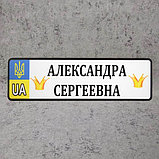 Номер на коляску "Мультяшная корона принцессы" (Герб UA), фото 5