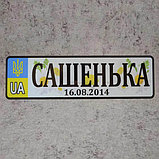 Номер на коляску с именем ребёнка.  (UA Герб ) "Ромашки" 28х8 см, фото 2
