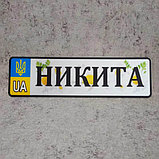 Номер на коляску с именем ребёнка.  (UA Герб ) "Ромашки" 28х8 см, фото 3