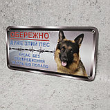 Табличка прикол "Осторожно. Очень злая собака. Кусает без..." (Немецкая овчарка), фото 2